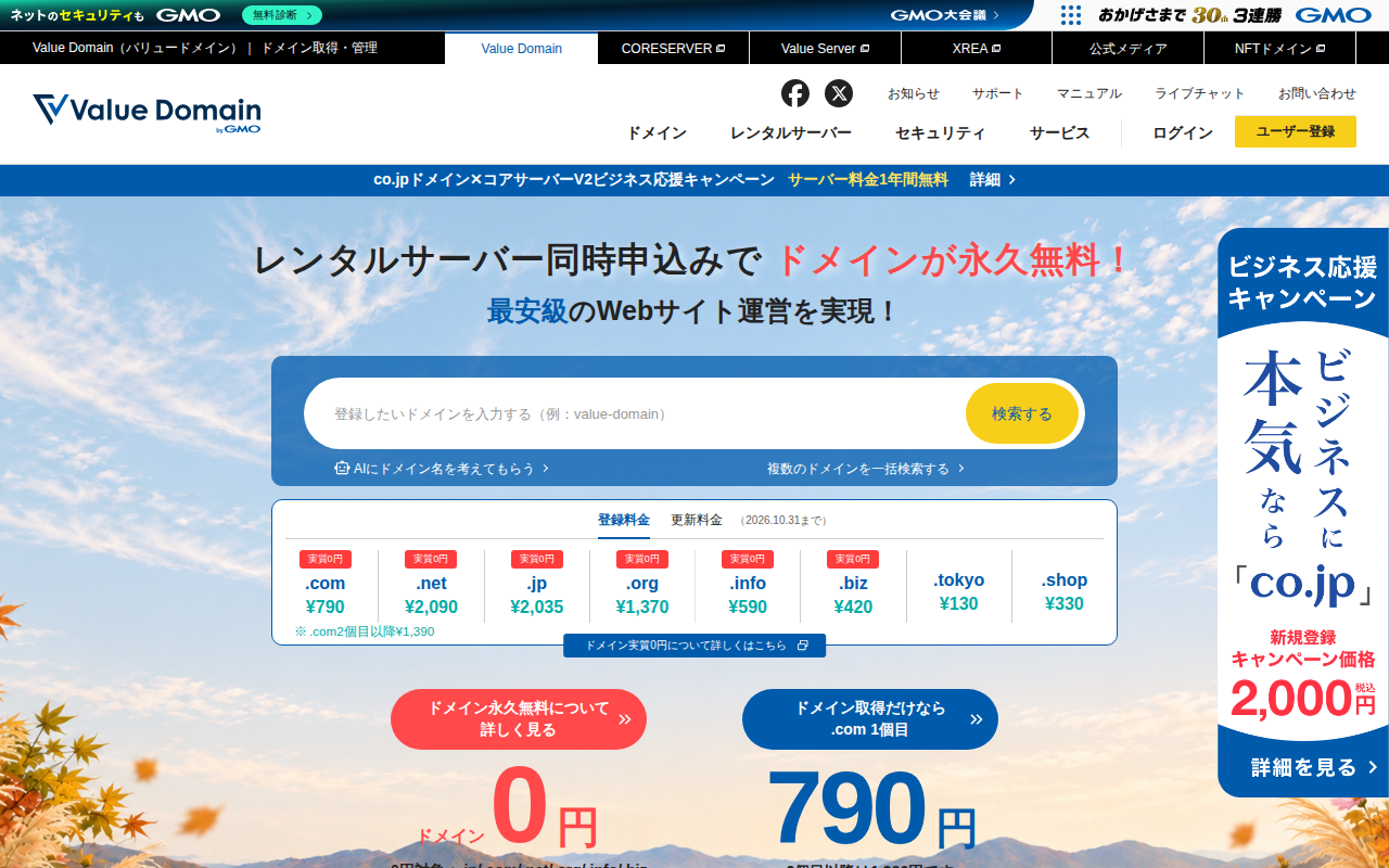 バリュードメインの評判・料金・永久無料の条件を解説の公式サイトスクリーンショット